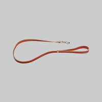 GUINZAGLIO PER CANI CON MOSCHETTONE   10x900 mm