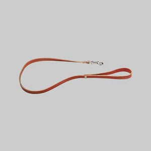 GUINZAGLIO PER CANI CON MOSCHETTONE   10x900 mm