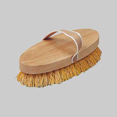 SPAZZOLA CAVALLO RADICA 220x95 mm