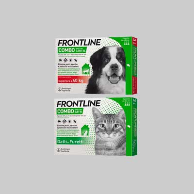 ANTIPARASSITARIO 'COMBO' FRONTLINE gatti e furetti - 6 pipetta - FRONTLINE