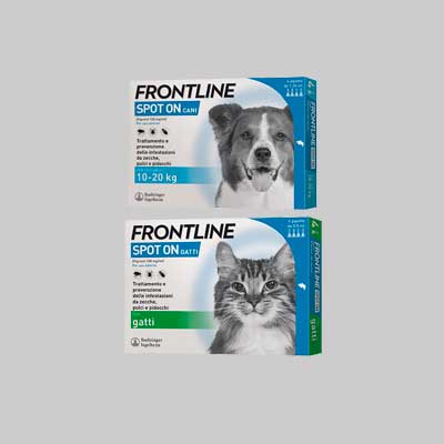ANTIPARASSITARIO 'SPOT ON' FRONTLINE  cani 20/40 kg - 4 pipette - FRONTLINE