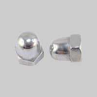 DADO CIECO INOX M14 - 100 pezzi