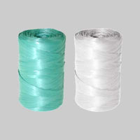 RAFIA SINTETICA A CONETTO 200 gr - colore verde