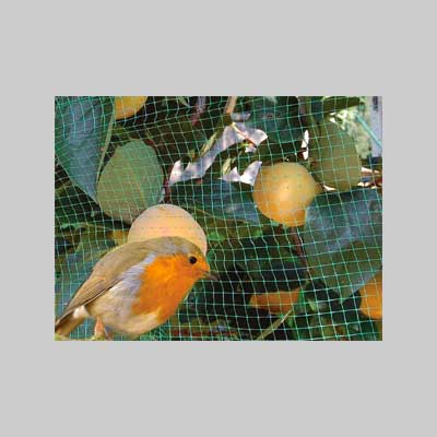 RETE ANTIUCCELLI IDEAL STAR 2x5 mt - colore verde - IDEAL STAR