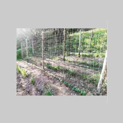 RETE PER RAMPICANTI IDEAL STAR 1,7x50 mt - Col. Bianca - IDEAL STAR