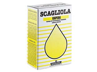 GESSO SCAGLIOLA IN SCATOLA- - Kg.1 in scatola - 12 scatola