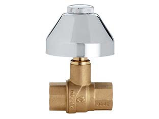 VALVOLA  A SFERA EVOLUTION FF CON CAPPUCCIO  FF 1/2    FIV