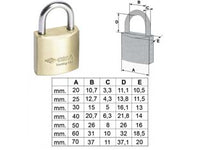 LUCCHETTO LOCKING LINE ARCO NORMALE 20010- - mm.30 (art.20010300) - 12 pezzi CISA