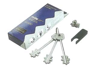 BLOCCHETTO DI RICAMBIO SIGILLATO CON 3 CHIAVI DOPPIA MAPPA MM.116  (BLO3210)    DIERRE