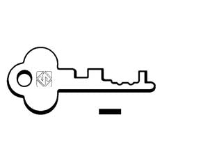 CHIAVI PASSEPARTOUT PER CASSETTE POSTALI 1003P- - 1003P - 10 pezzi SILCA