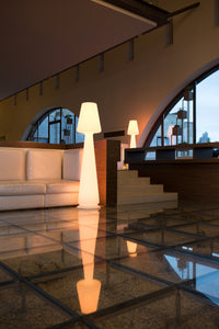 PIANTANA LED CHLOE RGB 39XH165 CM C/TELECOMAN- 1,0 pz