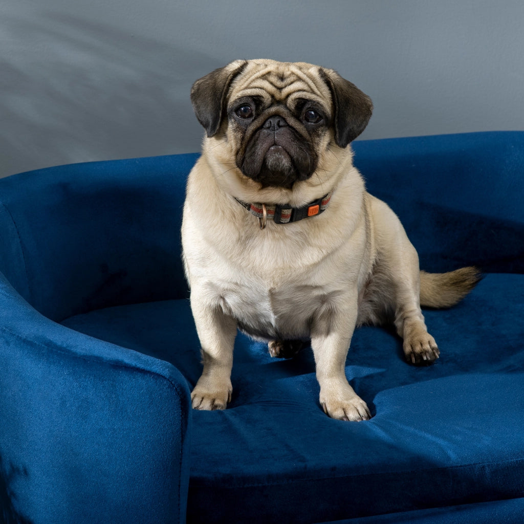 Cuccia Divano per Cani e Gatti ¨C Zephmum ¨C Blu 10kg