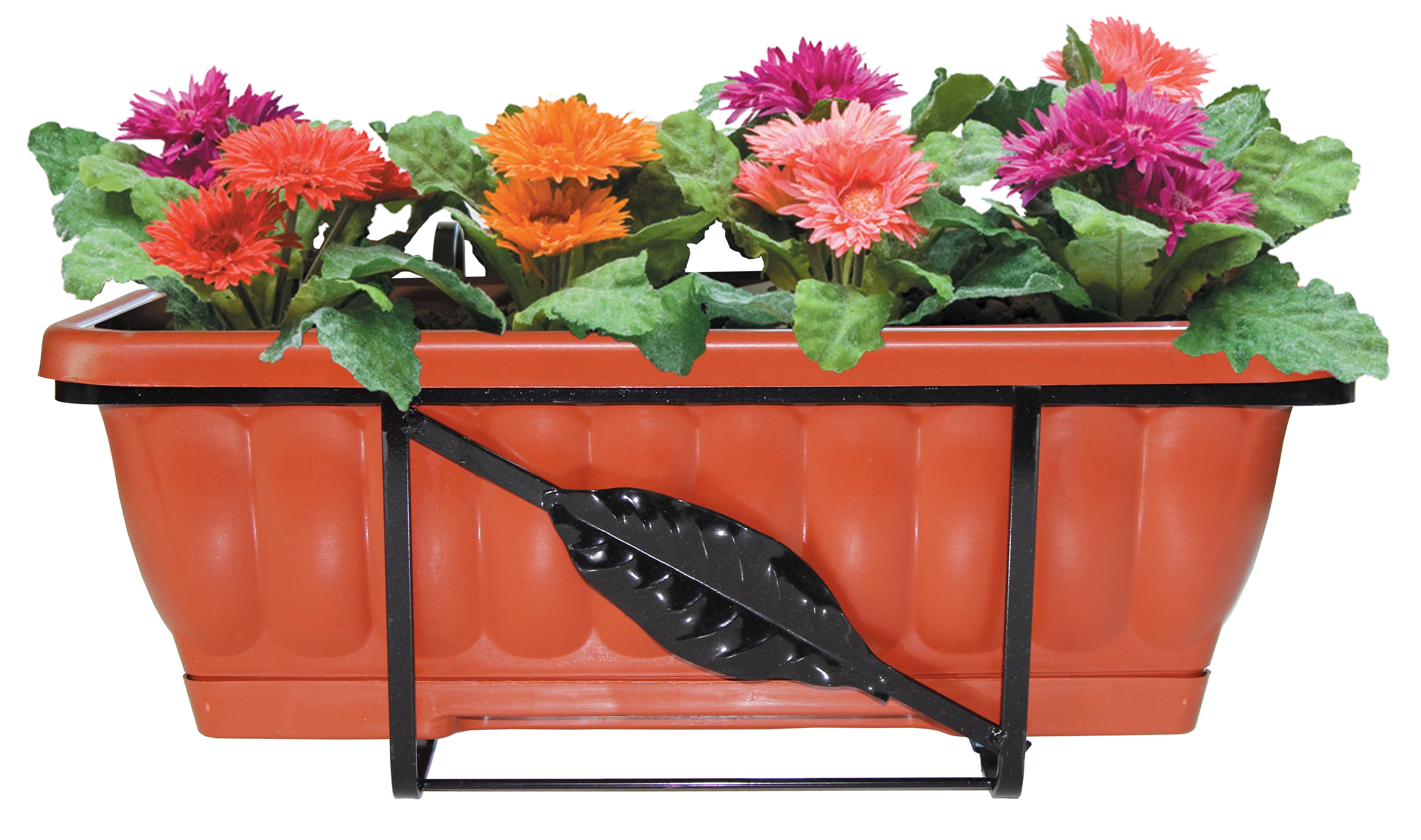 SET BALCONI FIORITI RETTANGOLARE 50 CM- 6,0 pz