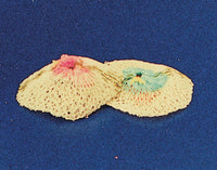 RETINA LAMPADA 100/200W RICAMBIO NON RADIATTIVA*- EUROCAMPING- 24,0 pz