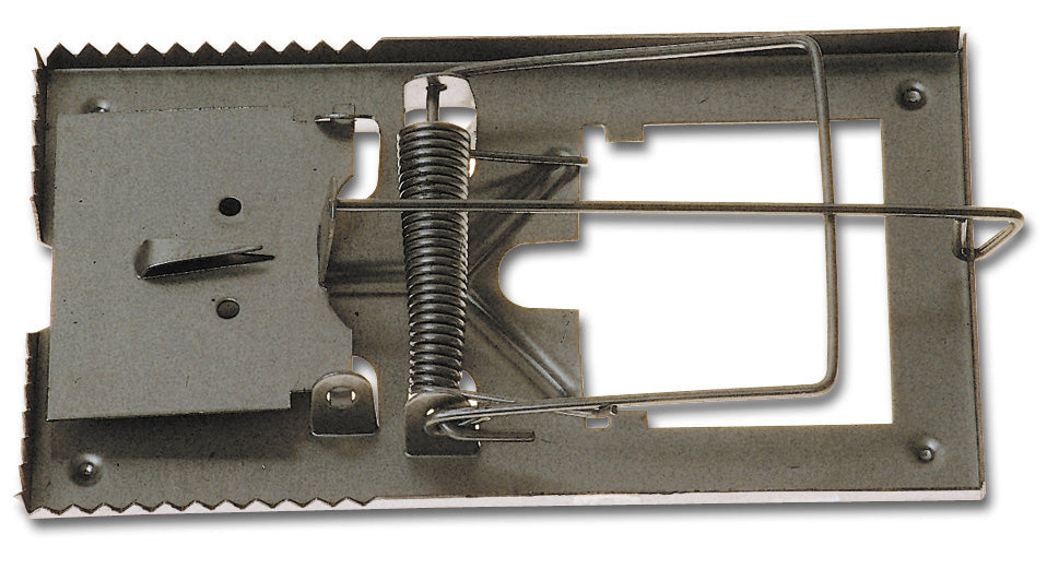 TRAPPOLA P/TOPI TIPO  PICCOLO*- 20,0 pz