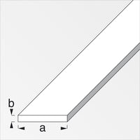 PROFILO BIANCO H.200 CM PIATTO 15X2 MM- 5,0 pz