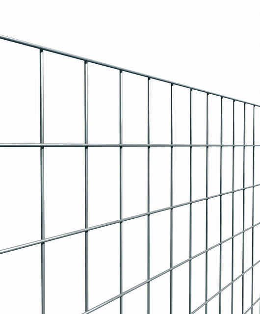 RETE ELETTROS MARGHERITA ZINCATA 50X75 H 100 25 M- 1,0 rotoli