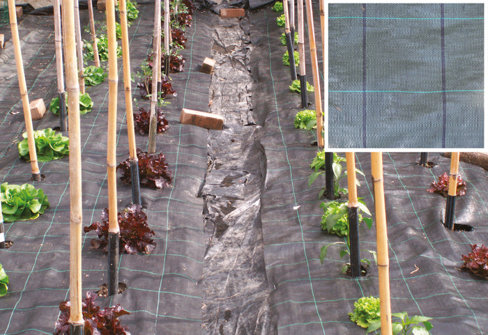 TELO PACCIAMATURA PP H 1,05 M ROTOLO  10 M- 12,0 rotoli