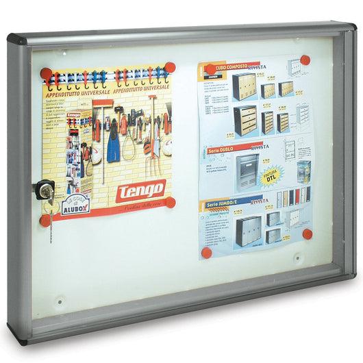 BACHECA FONDO MAGNETICO ALUBOX BC2 55X5X40 ARG- 1,0 pz