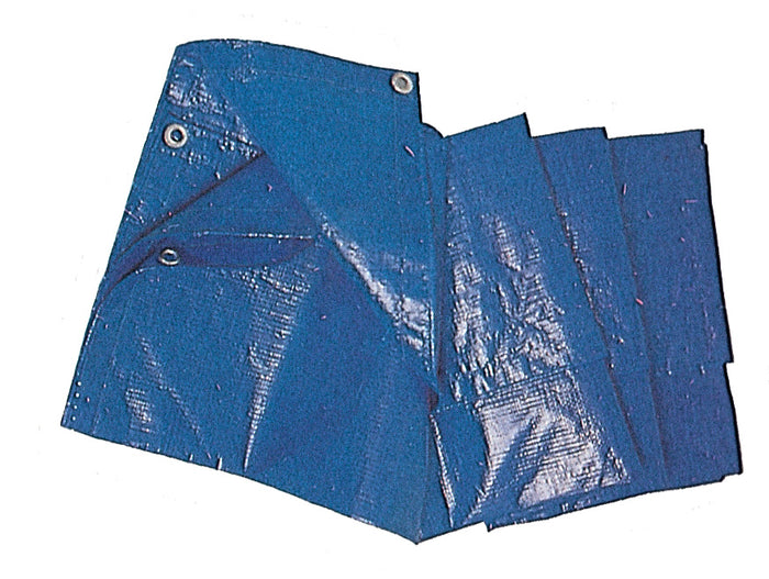 C TELO OCCHIELLATO PE 2 X 3M 85GR BLU- 1,0 pz