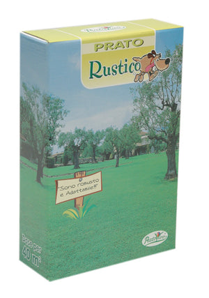 SEMI PRATO RUSTICO 1 KG- HORTUS SEMENTI- 1,0 pz