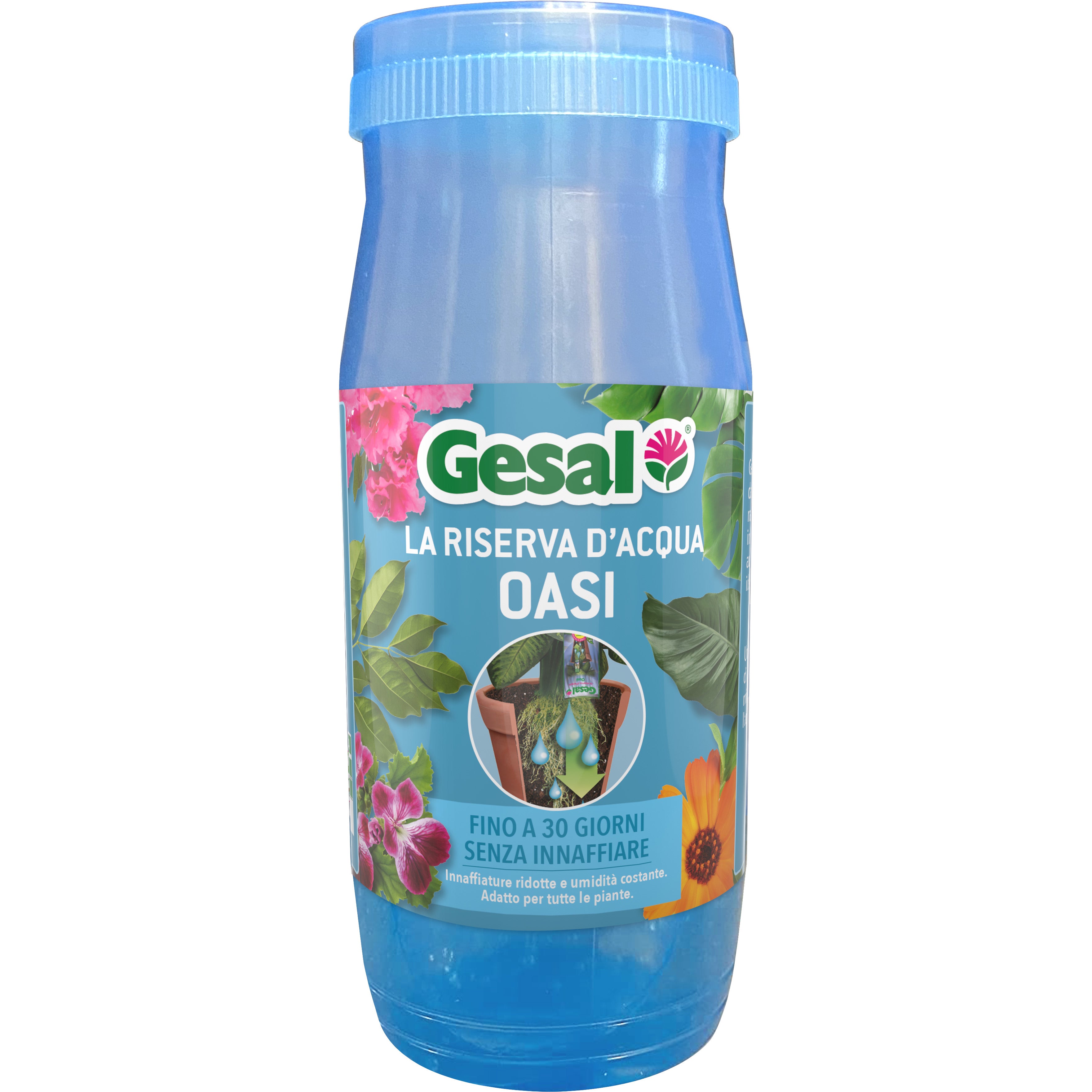 GESAL OASI RISERVA DACQUA 300 ML- 24,0 pz