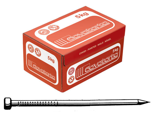 CHIODI TESTA GRUPPINO 10X25  CAVATORTA- 5,0 kg