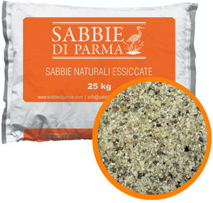 SABBIA QUARZIFERA 25 KG PER FILTRO PISCINA A SABBIA- 1,0 confezione