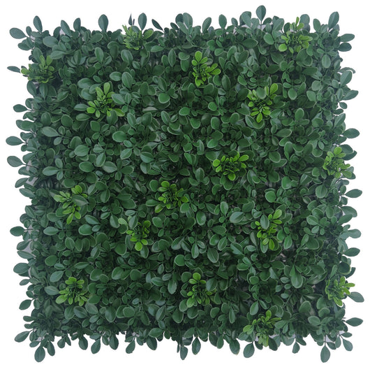 C SIEPE ARTIFICIALE PANNELLO 100X100CM PLANT- 2,0 pz