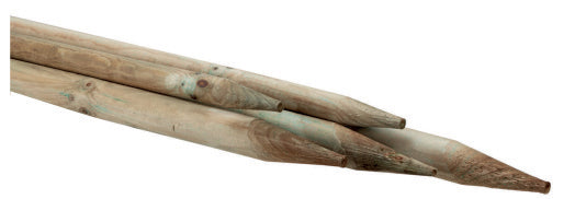 PALO IMPREGNATO TONDO C/PUNTA D 3XH120 CM- 1,0 pz