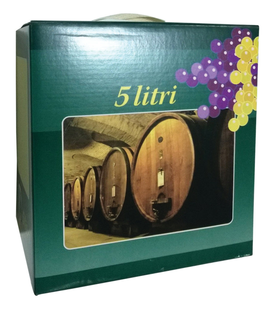 SCATOLA P/SACCA BAG 5 L COLORATO E MANICO- 15,0 pz