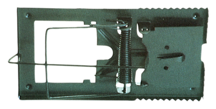 PL TRAPPOLA P/TOPI TIPO PICCOLO- 5,0 pz