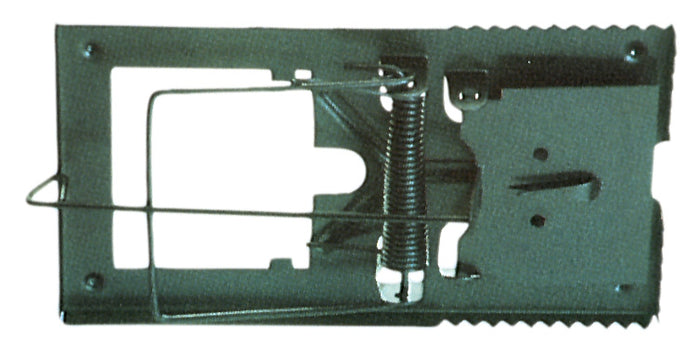 PL TRAPPOLA P/TOPI TIPO PICCOLO- 5,0 pz