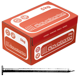 CHIODI TESTA PIANA 20X100 CAVATORTA- 5,0 kg