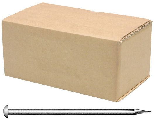 CHIODI ZINCATI FUOCO GARANZ. 20 ANNI 13X30  T. BOMB- CBD di BORGHETTI- 5,0 kg