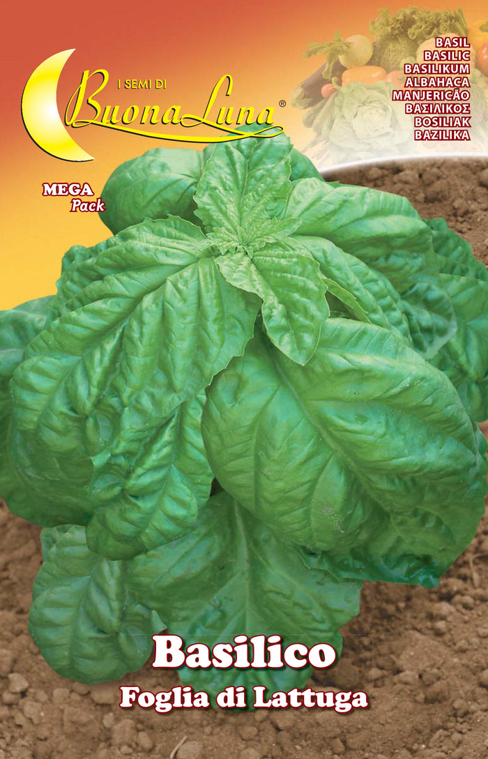 SEMI ORTO BASILICO FOGLIA LATTUGA- HORTUS SEMENTI- 10,0 pz