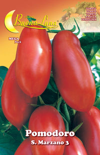 SEMI ORTO POMODORO S. MARZANO- HORTUS SEMENTI- 10,0 pz