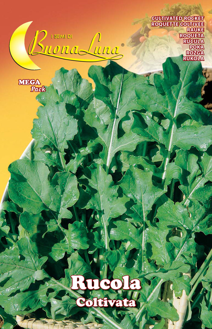 SEMI ORTO RUCOLA COLTIVATA- HORTUS SEMENTI- 10,0 pz