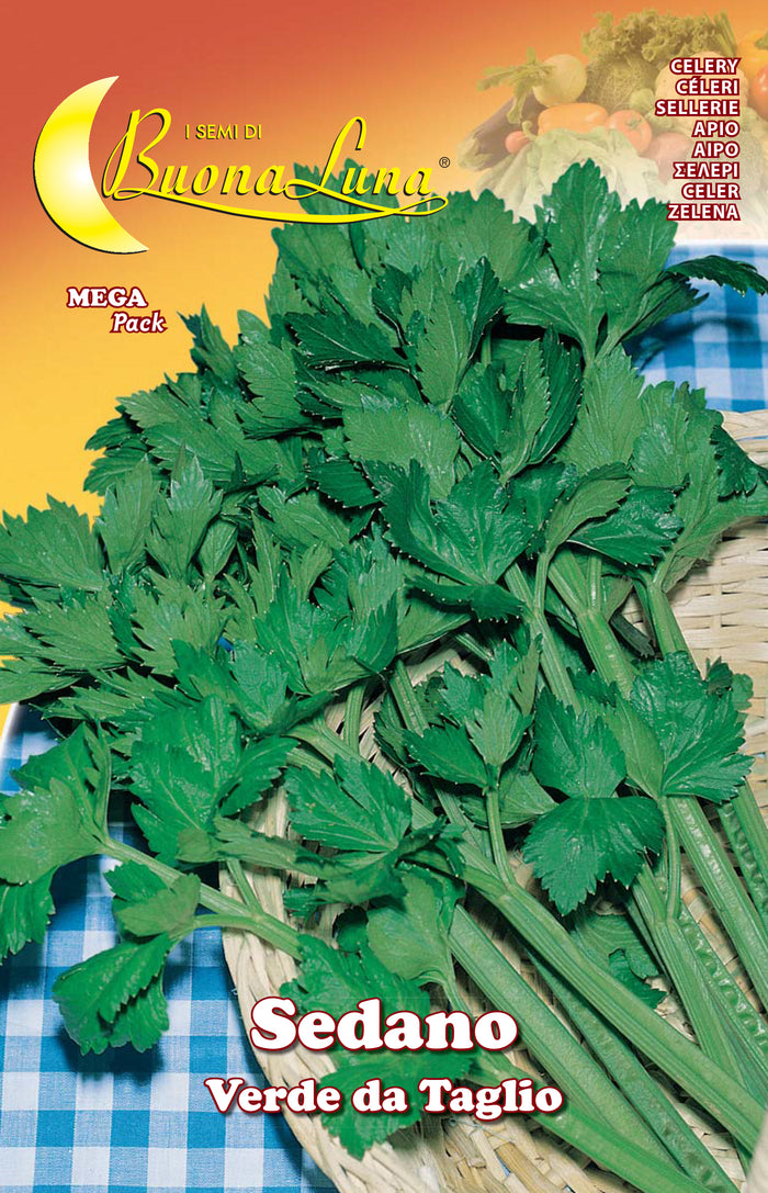SEMI ORTO SEDANO VERDE DA TAGLIO- HORTUS SEMENTI- 10,0 pz