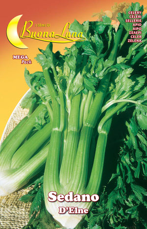 SEMI ORTO SEDANO DELNE- HORTUS SEMENTI- 10,0 pz