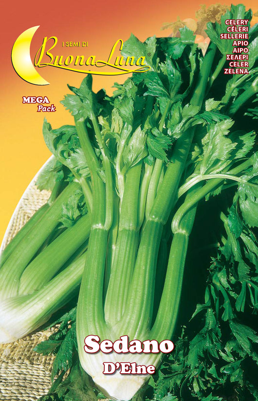 SEMI ORTO SEDANO DELNE- HORTUS SEMENTI- 10,0 pz