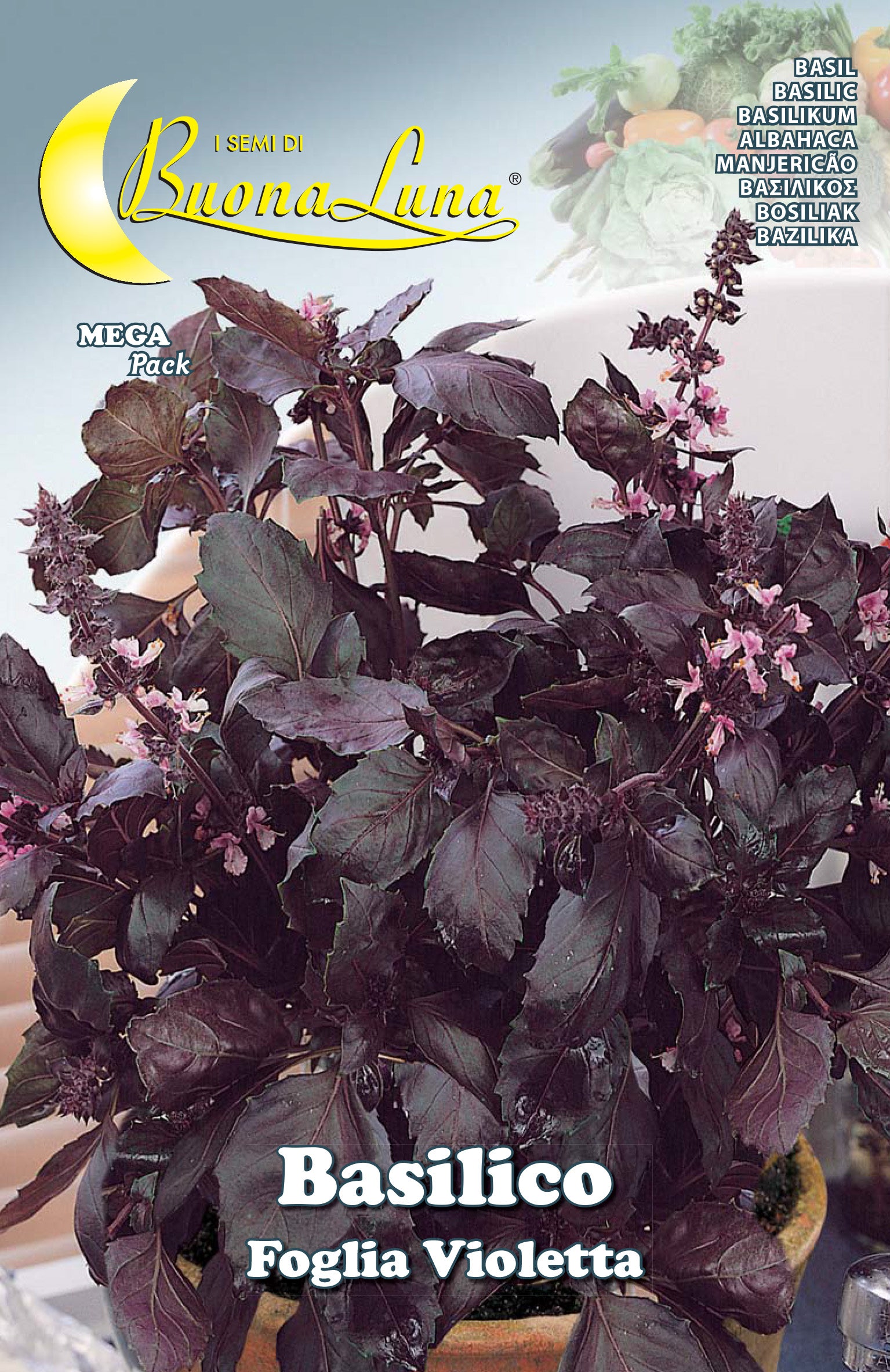 SEMI ORTO BASILICO FOGLIA VIOLETTA- HORTUS SEMENTI- 10,0 pz