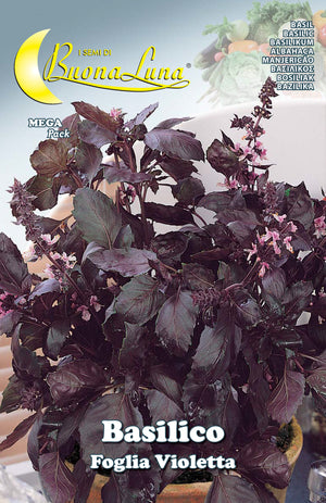 SEMI ORTO BASILICO FOGLIA VIOLETTA- HORTUS SEMENTI- 10,0 pz