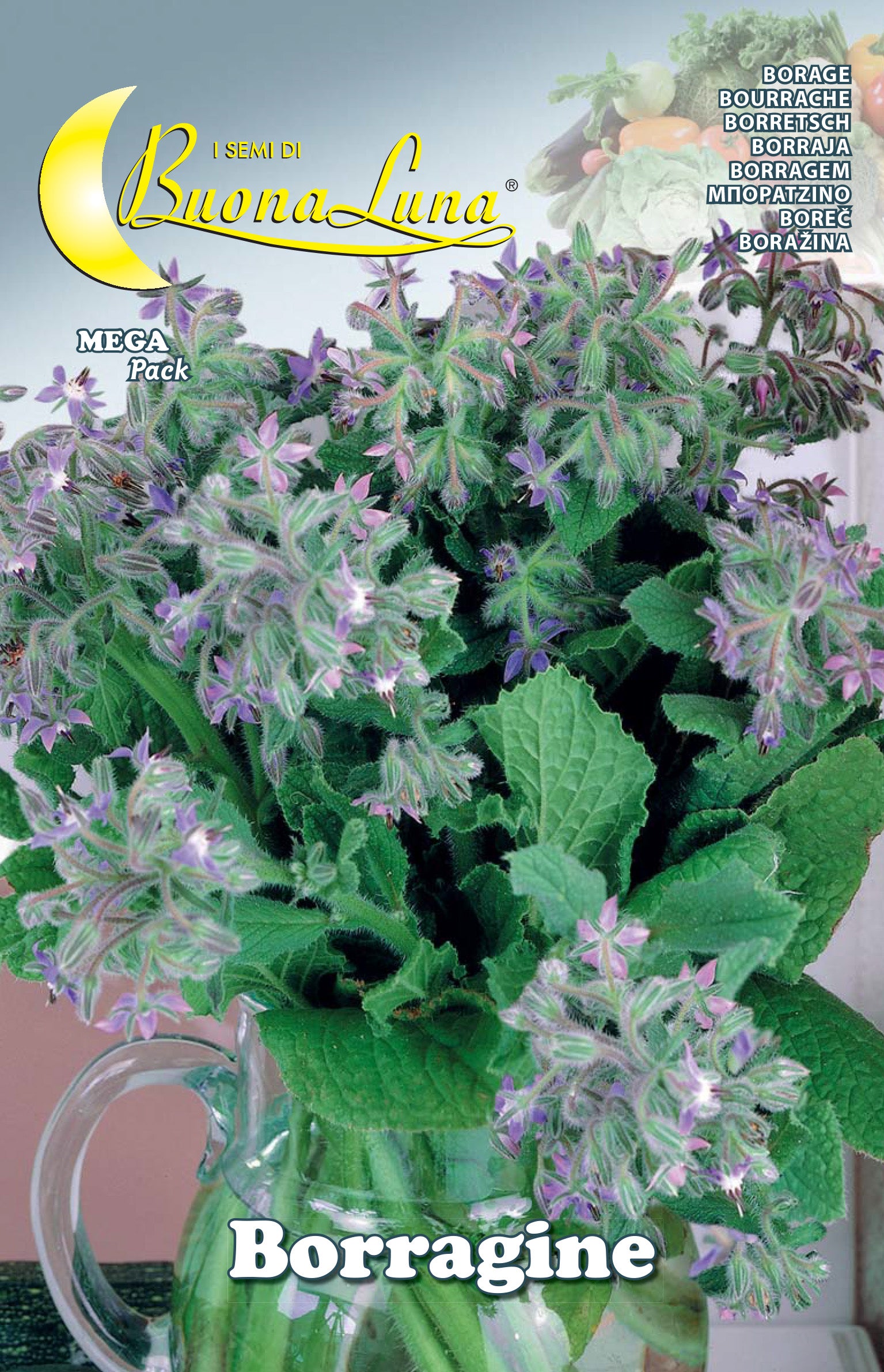 SEMI ORTO BORRAGINE- HORTUS SEMENTI- 10,0 pz