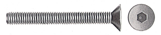 SC VITI PER BUSSOLA T.S.P. ESAG INC  6MA 40 MM 10 PZ- 5,0 pz