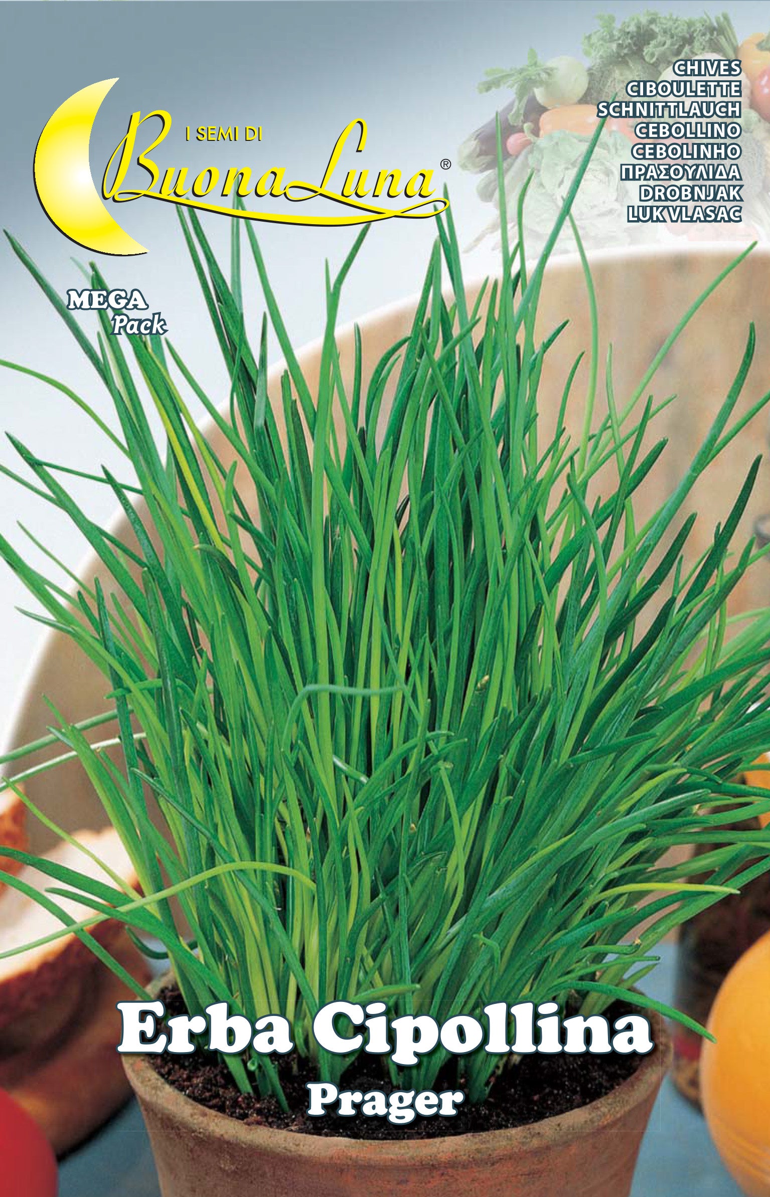 SEMI ORTO ERBA CIPOLLINA- HORTUS SEMENTI- 10,0 pz