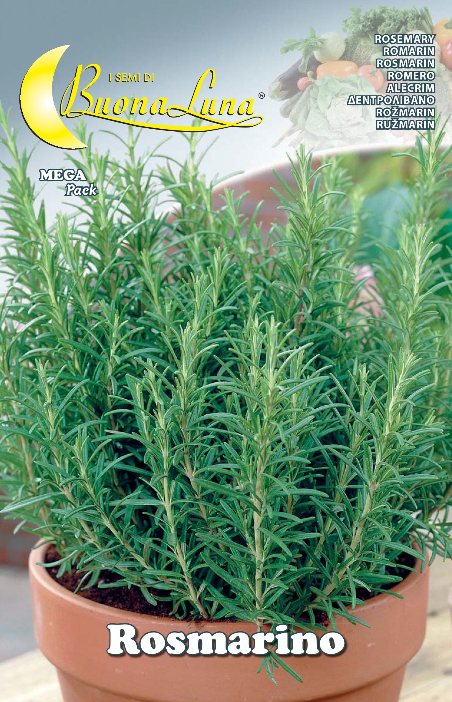 SEMI ORTO ROSMARINO- HORTUS SEMENTI- 10,0 pz