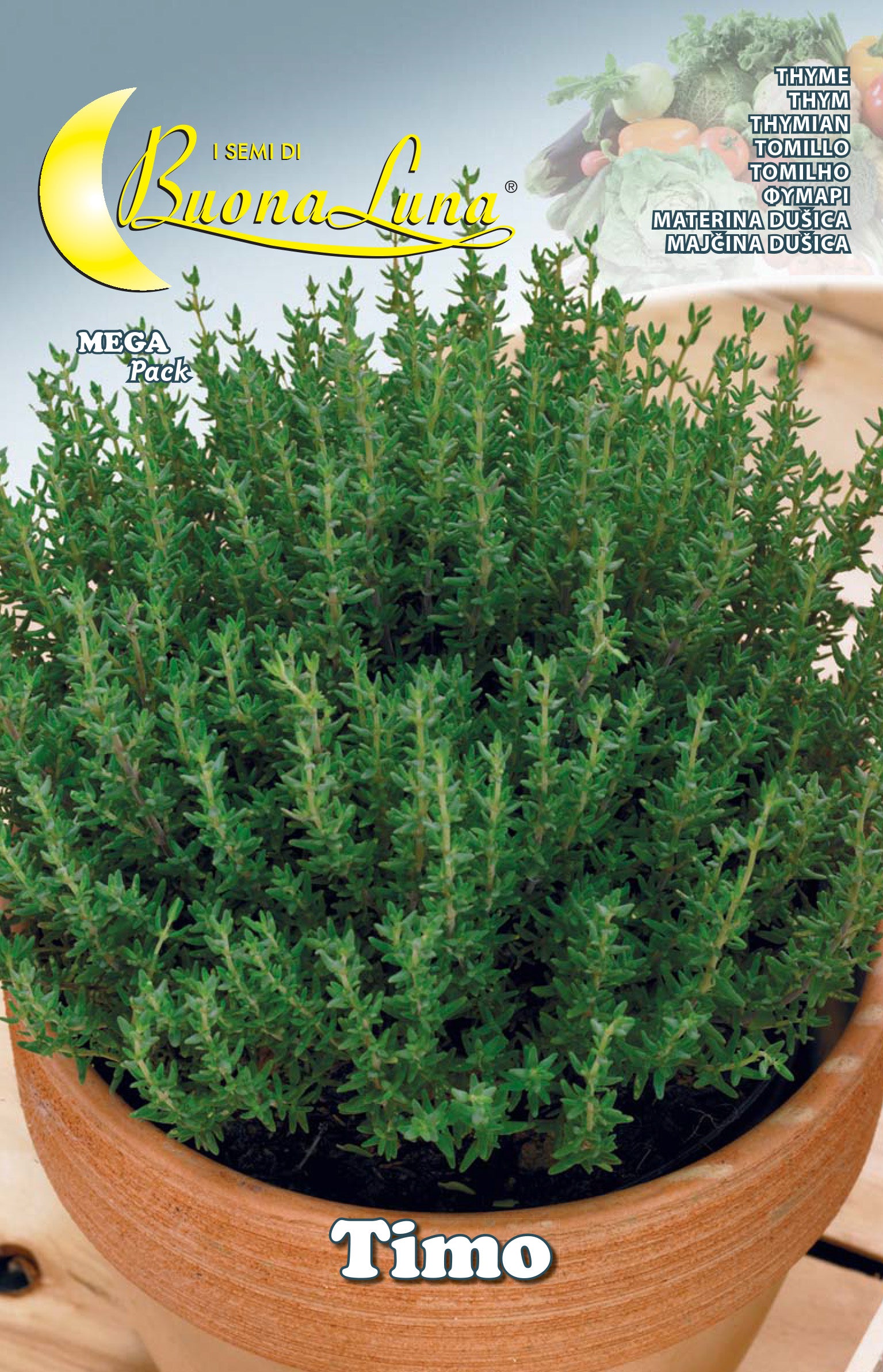 SEMI ORTO TIMO- HORTUS SEMENTI- 10,0 pz