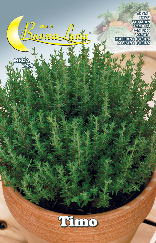 SEMI ORTO TIMO- HORTUS SEMENTI- 10,0 pz