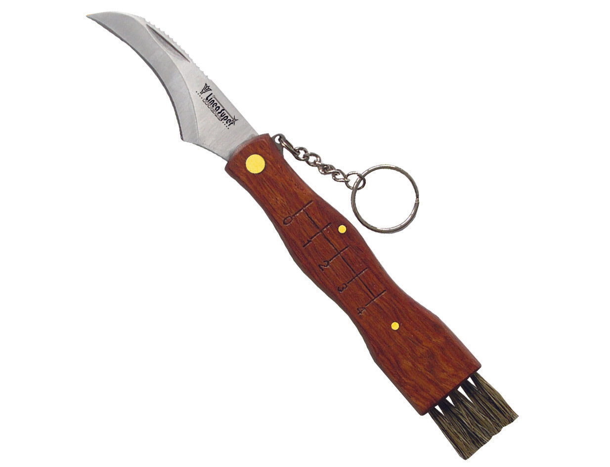 COLTELLO DA FUNGHI MANICO IN LEGNO CON SPAZZOLINO CM.19- - cm.19 art.340 - 3 pezzi DE LUCA